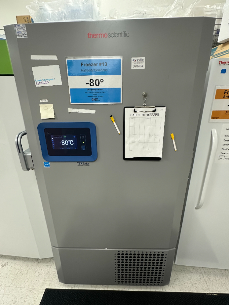 Image of Thermo TSX60086A -86C Freezer